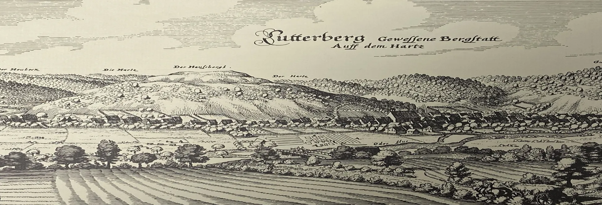 Merianstich Merianstich