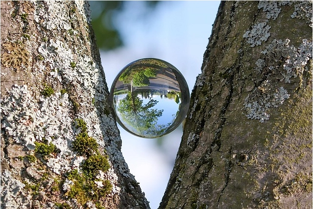 Symbolbild Klimaschutzprojekte